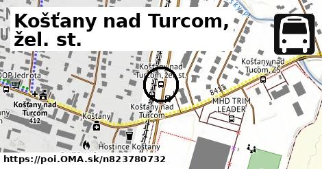 Košťany nad Turcom, žel. st.