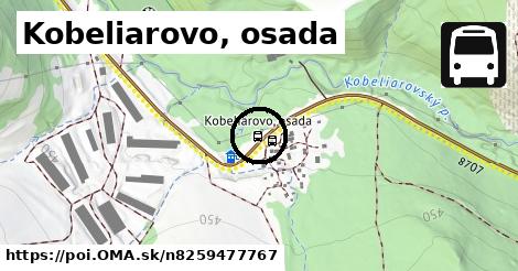 Kobeliarovo, osada