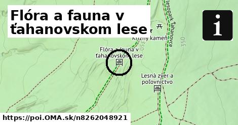 Flóra a fauna v ťahanovskom lese