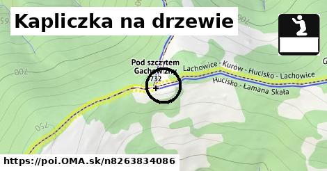 Kapliczka na drzewie