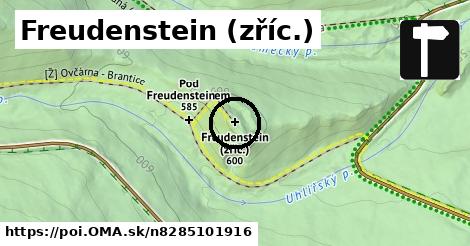 Freudenstein (zříc.)