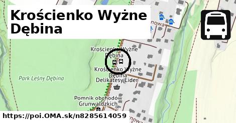 Krościenko Wyżne Dębina