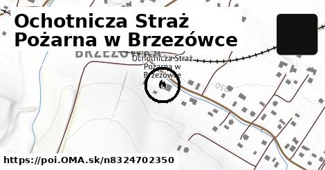 Ochotnicza Straż Pożarna w Brzezówce