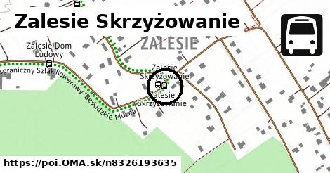 Zalesie Skrzyżowanie