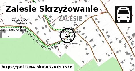 Zalesie Skrzyżowanie