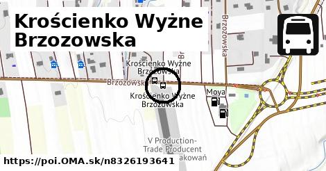 Krościenko Wyżne Brzozowska