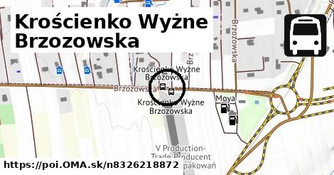 Krościenko Wyżne Brzozowska