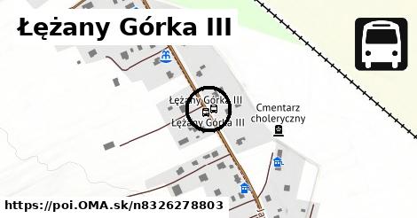 Łężany Górka III