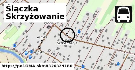 Ślączka Skrzyżowanie