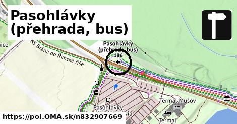 Pasohlávky (přehrada, bus)