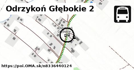 Odrzykoń Głębokie 2