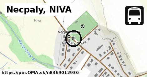 Necpaly, NIVA