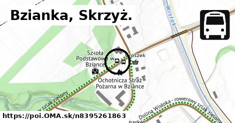 Bzianka, Skrzyż.