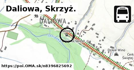 Daliowa, Skrzyż.