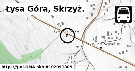 Łysa Góra, Skrzyż.