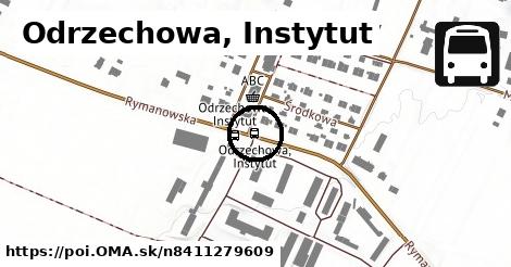 Odrzechowa, Instytut