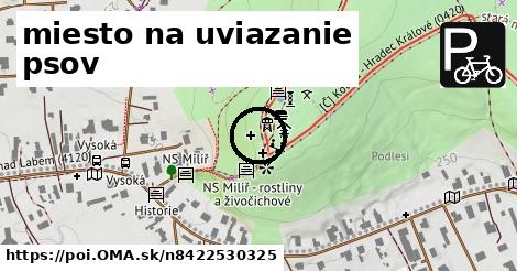 miesto na uviazanie psov