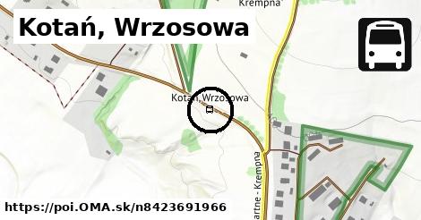 Kotań, Wrzosowa