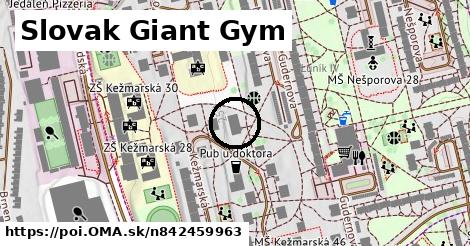 Slovak Giant Gym