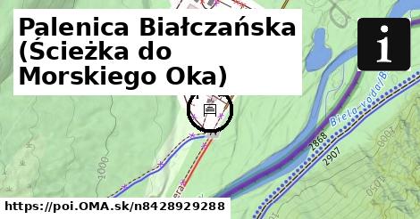 Palenica Białczańska (Ścieżka do Morskiego Oka)