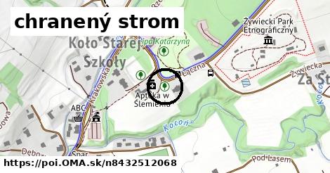 chranený strom