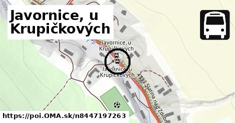 Javornice, u Krupičkových