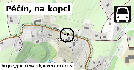 Pěčín, na kopci