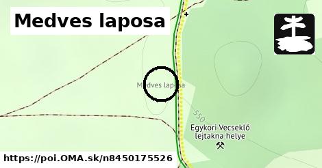 Medves laposa