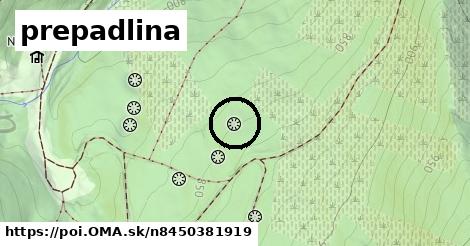 prepadlina