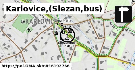 Karlovice,(Slezan,bus)