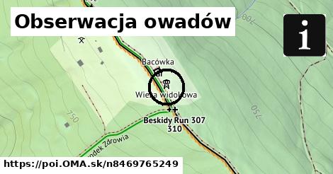 Obserwacja owadów