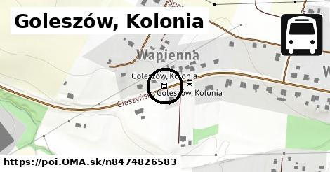 Goleszów, Kolonia