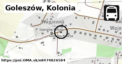 Goleszów, Kolonia