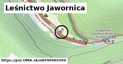 Leśnictwo Jawornica