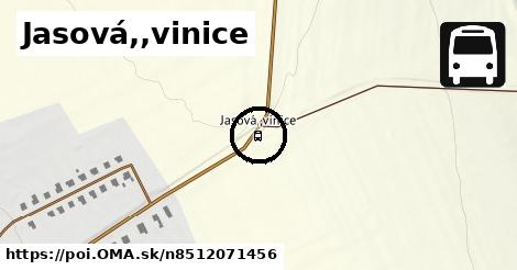 Jasová,,vinice