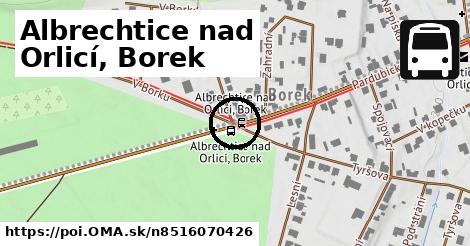 Albrechtice nad Orlicí, Borek