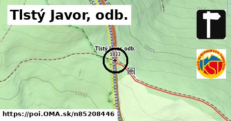 Tlstý Javor, odb.