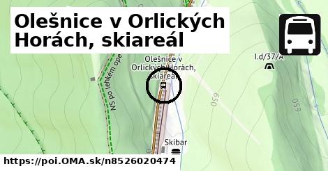 Olešnice v Orlických Horách, skiareál