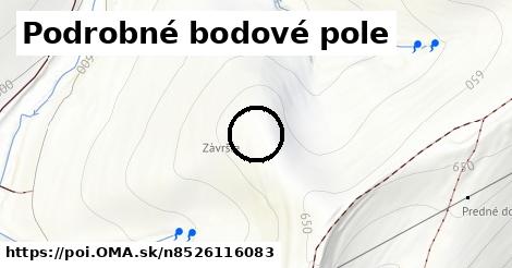 Podrobné bodové pole