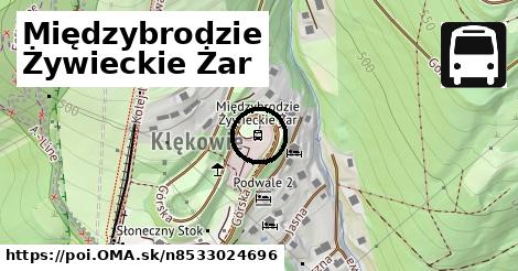 Międzybrodzie Żywieckie Żar