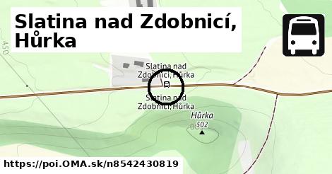 Slatina nad Zdobnicí, Hůrka