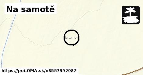 Na samotě