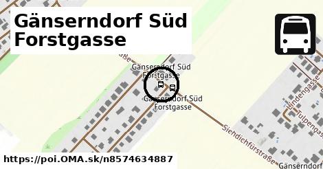 Gänserndorf Süd Forstgasse