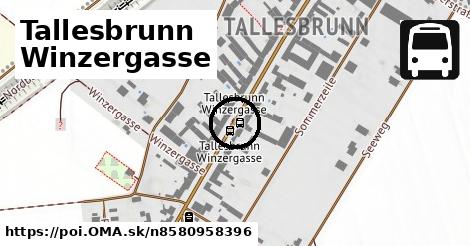 Tallesbrunn Winzergasse