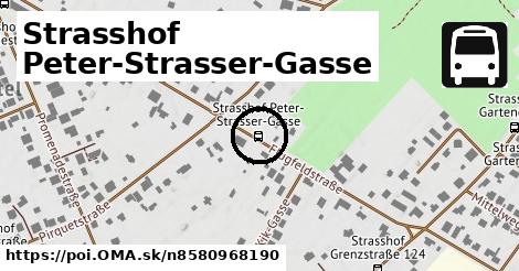 Strasshof Peter-Strasser-Gasse