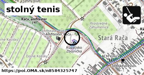 stolný tenis