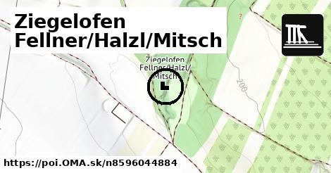 Ziegelofen Fellner/Halzl/Mitsch