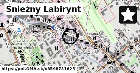 Śnieżny Labirynt