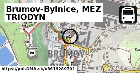 Brumov-Bylnice, MEZ TRIODYN