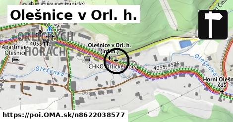 Olešnice v Orl. h.